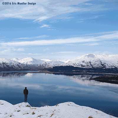 slotogenic cats sunrise catcollage GIF