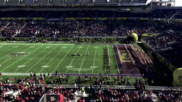 jnowak  GIF