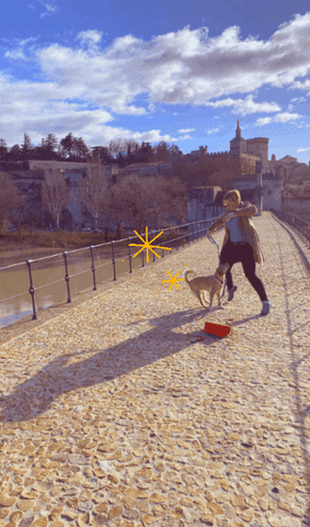 Animated GIF
