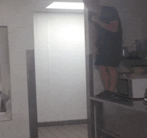 laurentiumanea  GIF