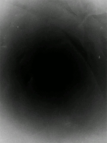 souvikmajumdar  GIF