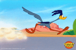 Slow Motion GIF by Looney Tunes