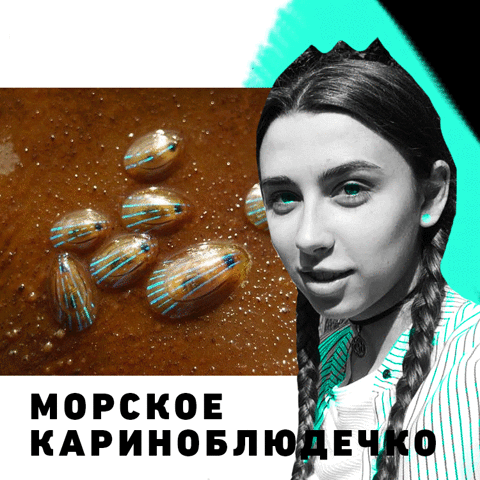 snizhanachernetska  GIF