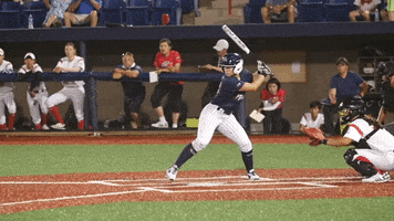 National Pro Fastpitch Softball GIF by USSSA Pride