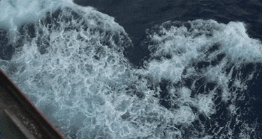 jeremiah tower sea GIF by The Orchard Films