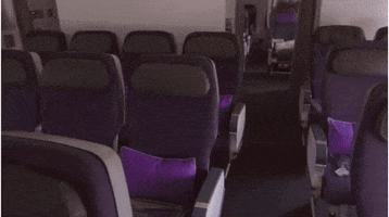 chloemiller  GIF