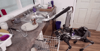 cadiethompson  GIF