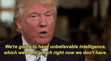 2016 Meme GIFs - Find & Share on GIPHY