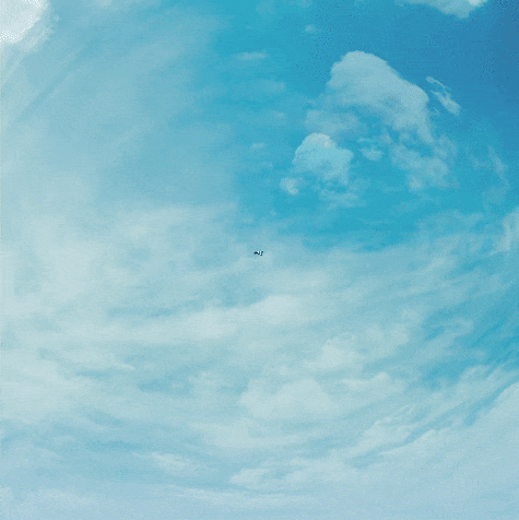 flesh  GIF