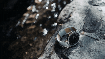 altasensibilidad altasensibilidad klokut haydia alejandro aguilar diaz GIF