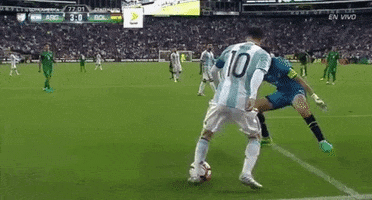 salim  GIF