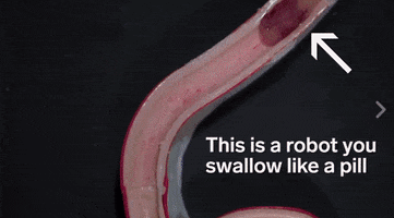 nicholascarlson  GIF