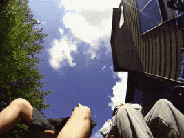 sierrarhino best friend GIF