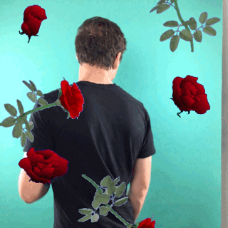 GIF by GIPHY CAM - Find & Share on GIPHY