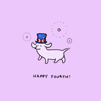 4Th Of July Party GIF by Stefanie Shank