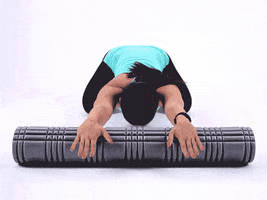 dimitri_g grid foam roller triggerpoint foam rolling GIF
