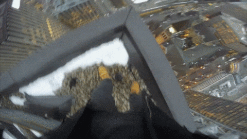 City Explore GIF by Red Bull - Find & Share on GIPHY