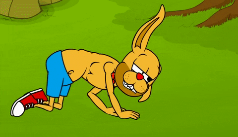 Running Rabbits GIFs - Get the best GIF on GIPHY