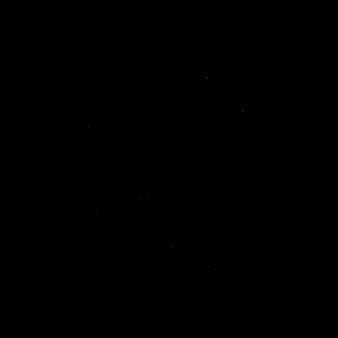 GIF by BI Studios