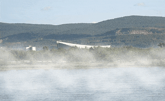 olalbireo  GIF