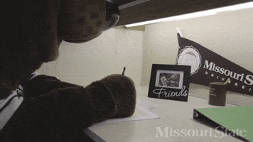 Boomer Msu GIF by Missouri State University