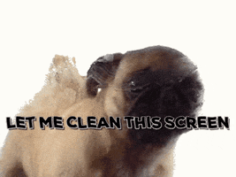hardikrathore lick pug screen cute pug GIF