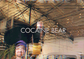 Cocaine Bear GIF by ADWEEK