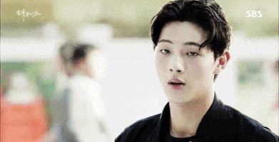 noc  GIF