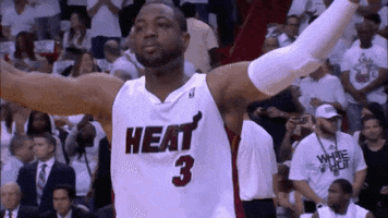 excited dwyane wade GIF