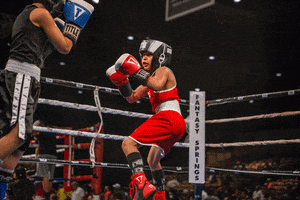 brettatitleboxing  GIF