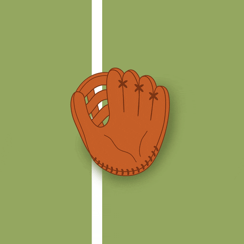 carlagomezgil baseball GIF