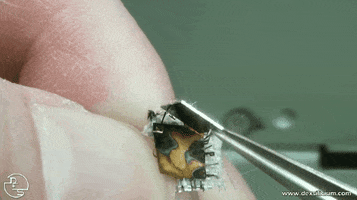 unquentin  GIF