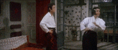 martial arts omg GIF by Shaw Brothers