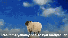 clockwork  GIF
