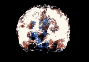 200.webp