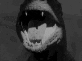 Sci Fi The Beast From 20000 Fathoms GIF by Warner Archive