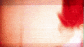 gonzalomaza pedro lemebel chileenllamaschv yeguasdelapocalisis GIF