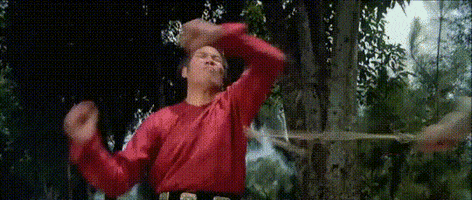 martial arts fml GIF by Shaw Brothers