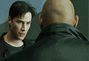 hollywood  GIF