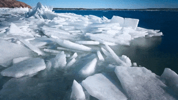 berlitzcorporation snow winter ice cold GIF