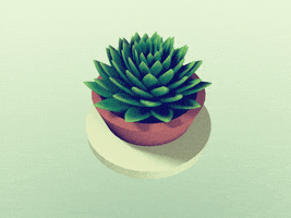 Plant Animated Gif GIF by DLGNCE