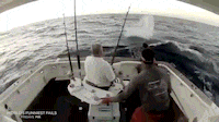 Fishing Fails GIFs - Find & Share on GIPHY