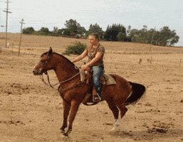fall lol GIF by America's Funniest Home Videos