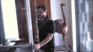 locked out no GIF by theCHIVE