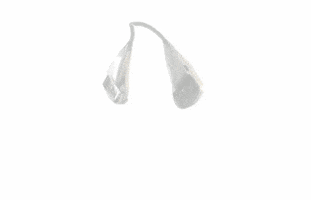 rancho silent partner GIF