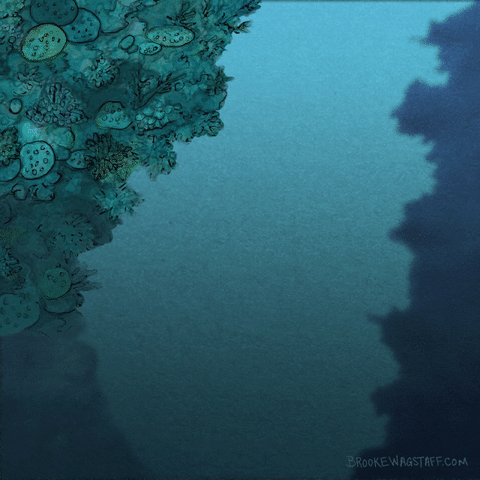 Brooke Wagstaff animated GIF