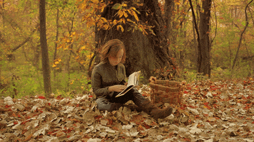 mehdi autumn ........... GIF