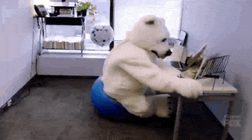 Polar Bear Oops GIF by FOX TV