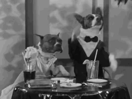 short hot dog GIF by Warner Archive