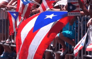Puerto Rico Flag GIF